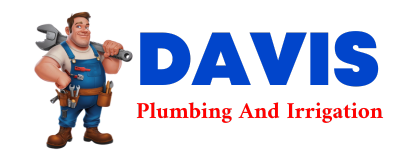 Trusted plumber in DOYLESBURG